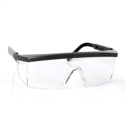 [EEA12672T.] MSA Impression Clear Anti Fog Spectacle