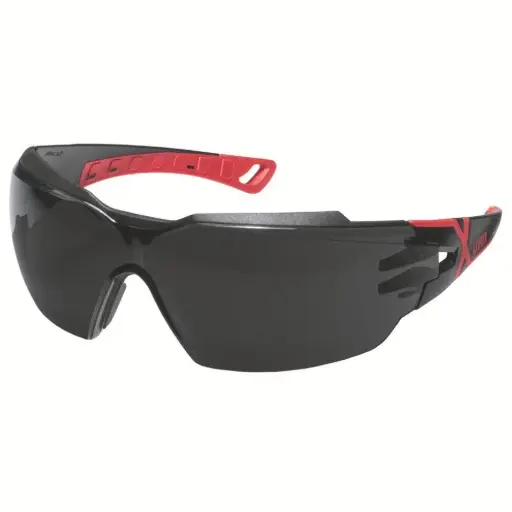 [9198175] Uvex pheos cx2 IR-ex 5-black/red frame +lens PC grey IR-ex 5 uvex infradur plus